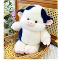 Cutest Cow Ever