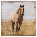 Watercolor Horse - Perfect Pallet Petites