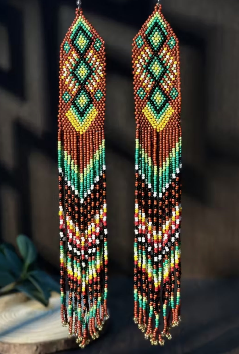Long Beaded Tassel Earrings
