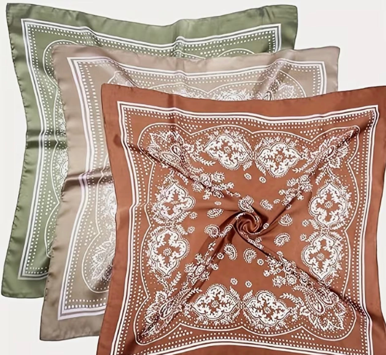 Paisley Wild Rags
