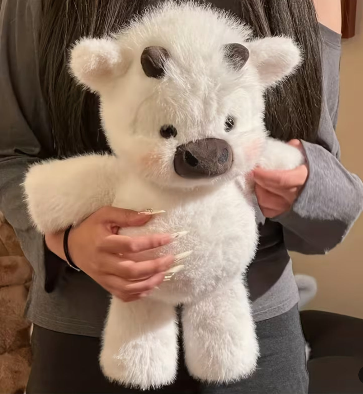 Cutest Cow Ever