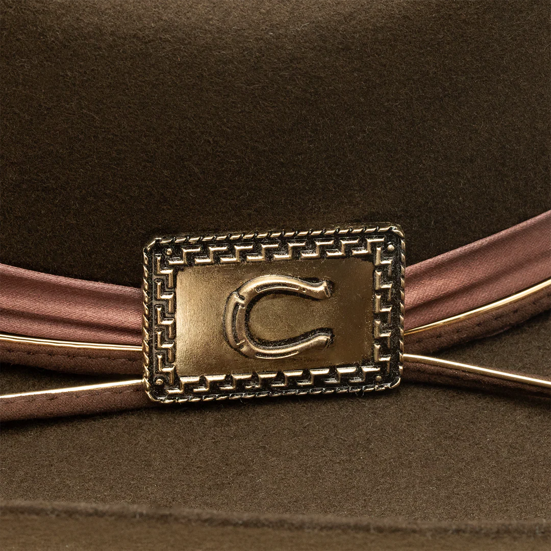 Charlie 1 Horse Songbird Western