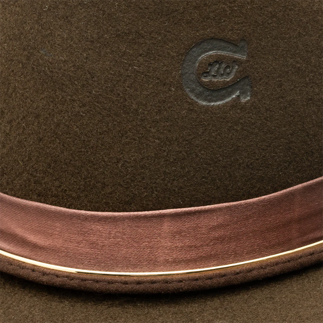 Charlie 1 Horse Songbird Western