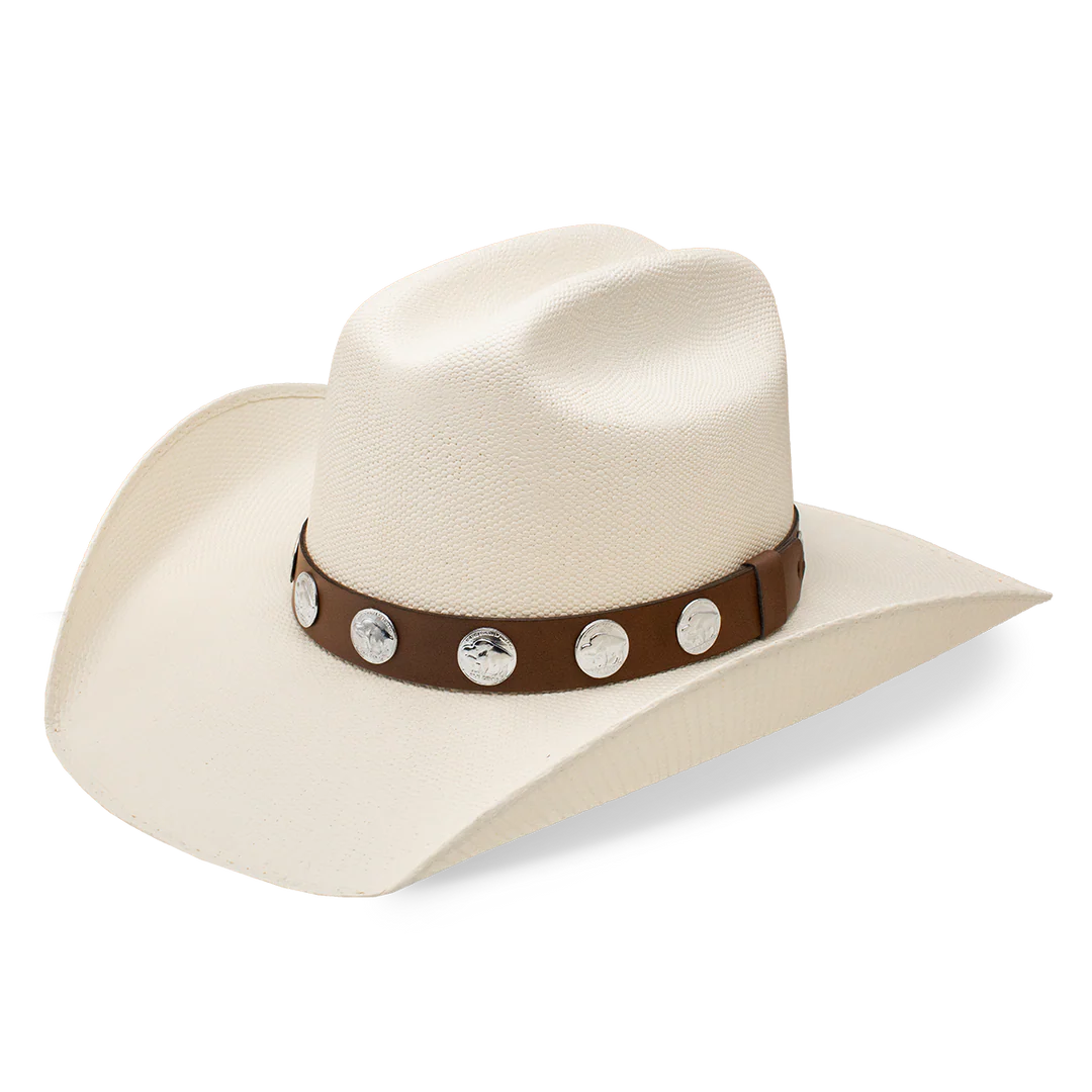 Charlie 1 Horse Hang Tight Honey