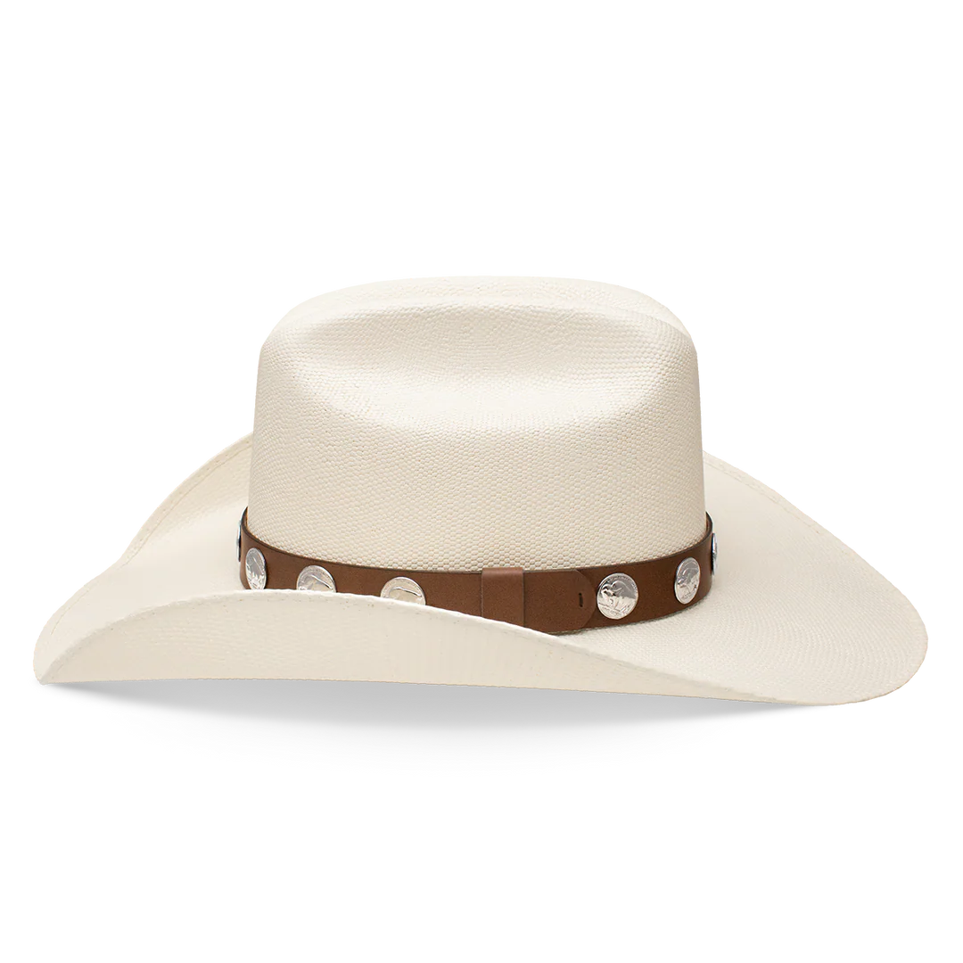 Charlie 1 Horse Hang Tight Honey