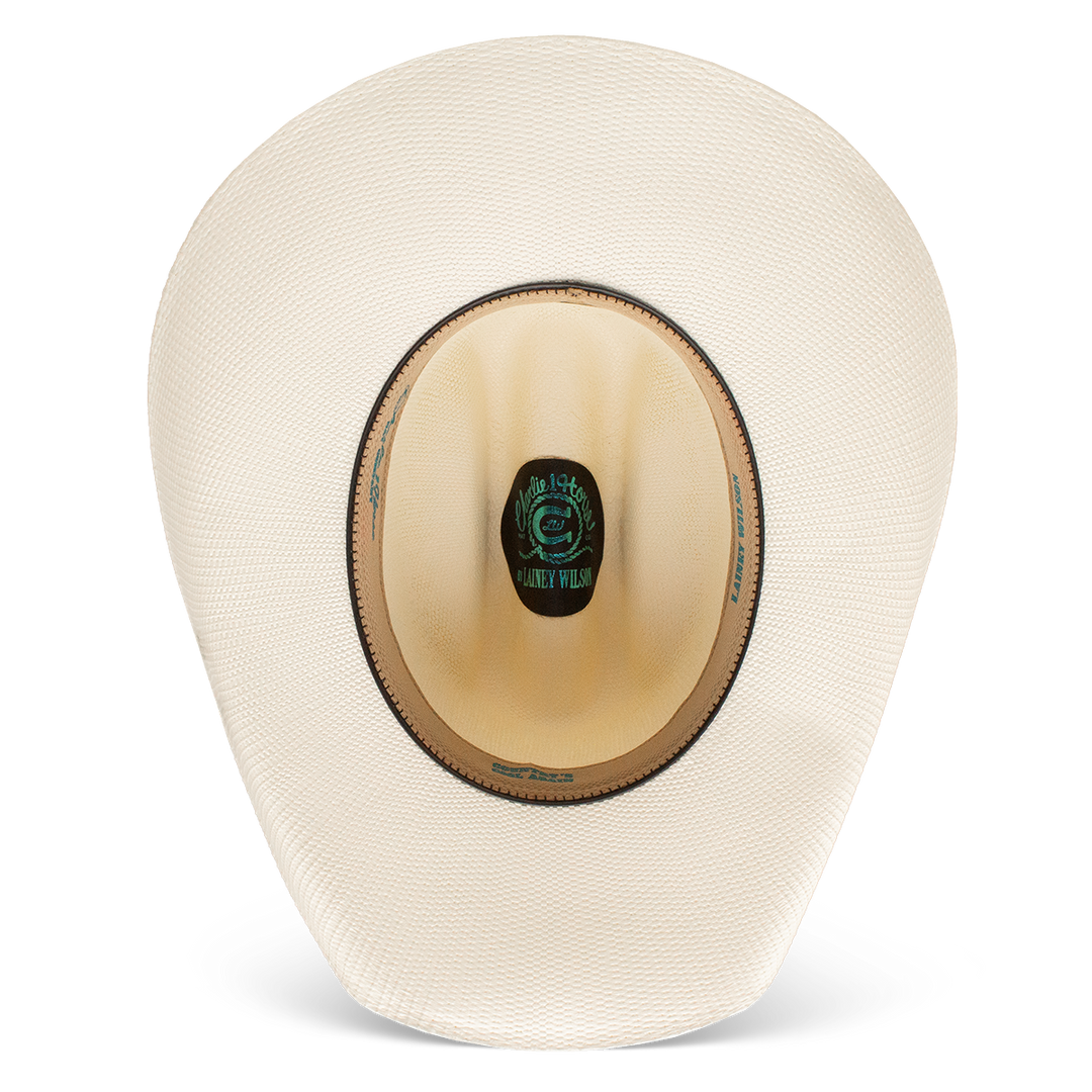 Charlie 1 Horse Hang Tight Honey