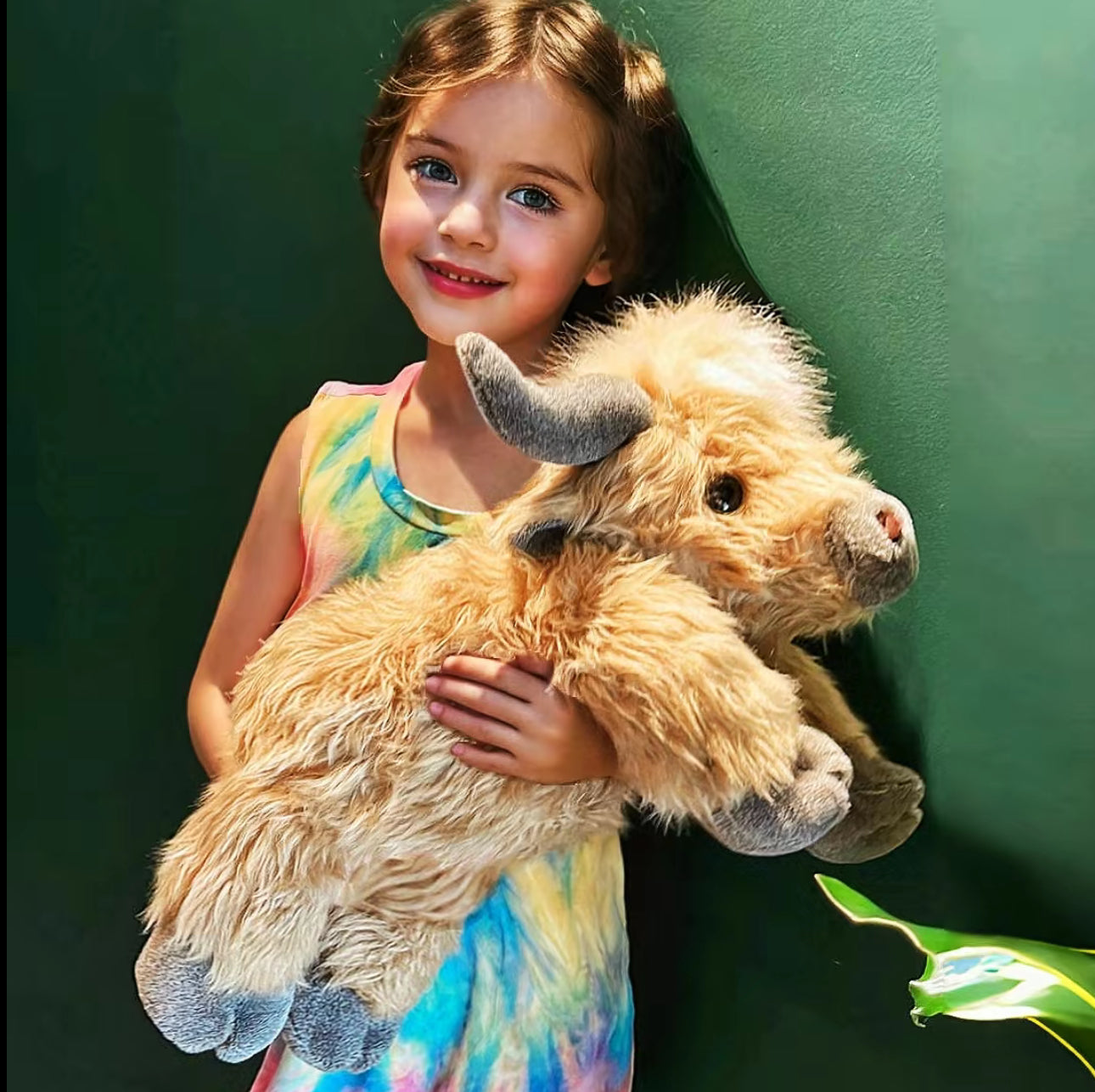 Highland Cow Weighted