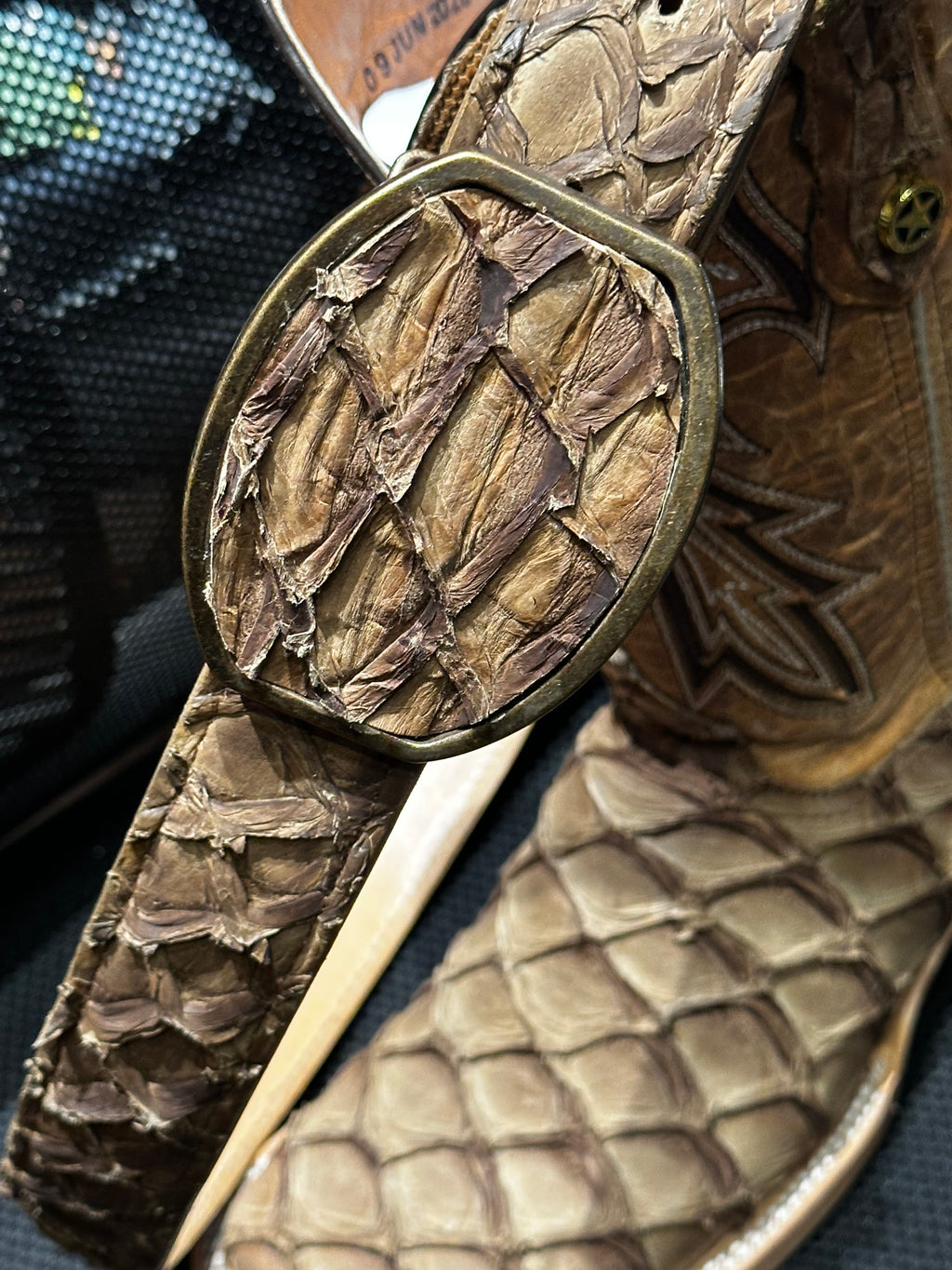 Pirarucu Fish Belt