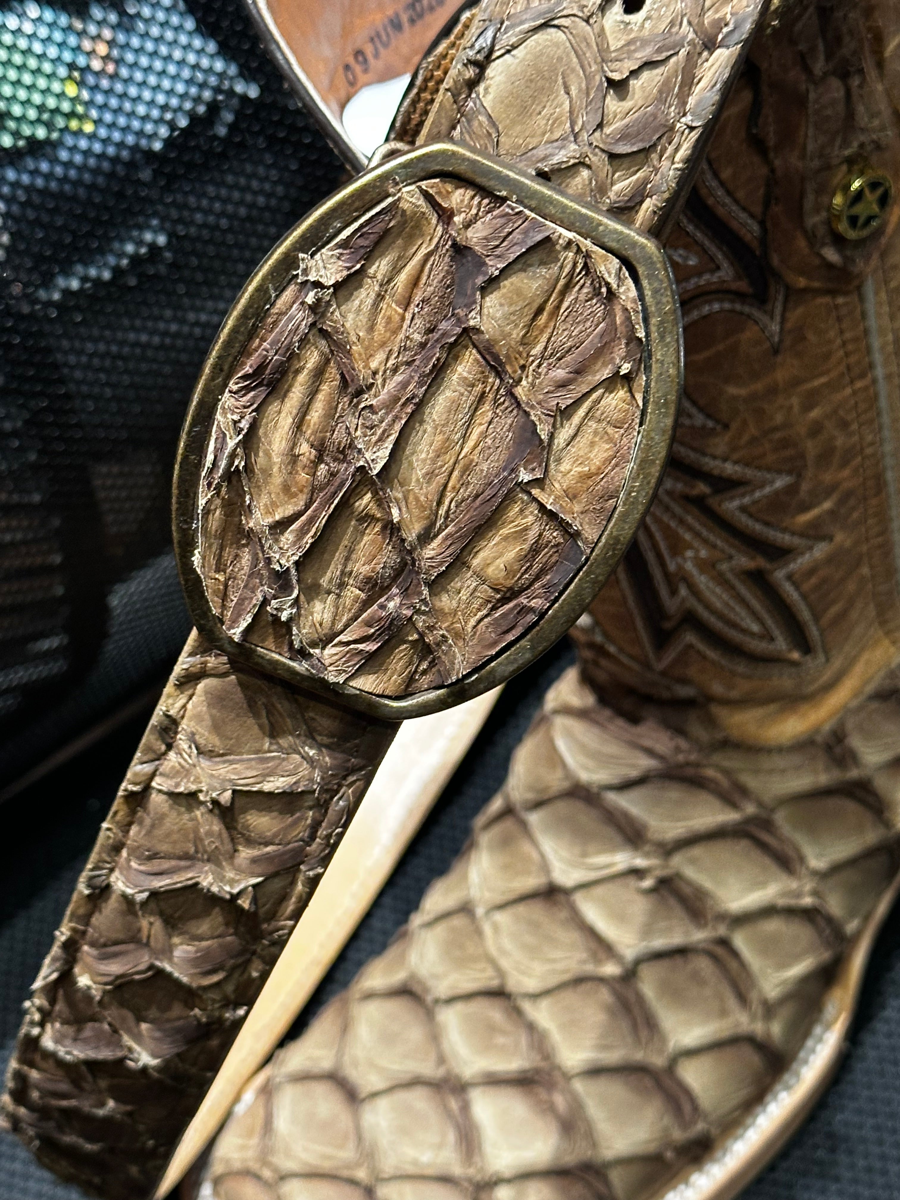 Pirarucu Fish Belt