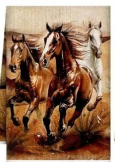 Kitchen Towels
