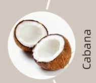 Magnetic Wood Car Freshener