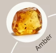 Magnetic Wood Car Freshener