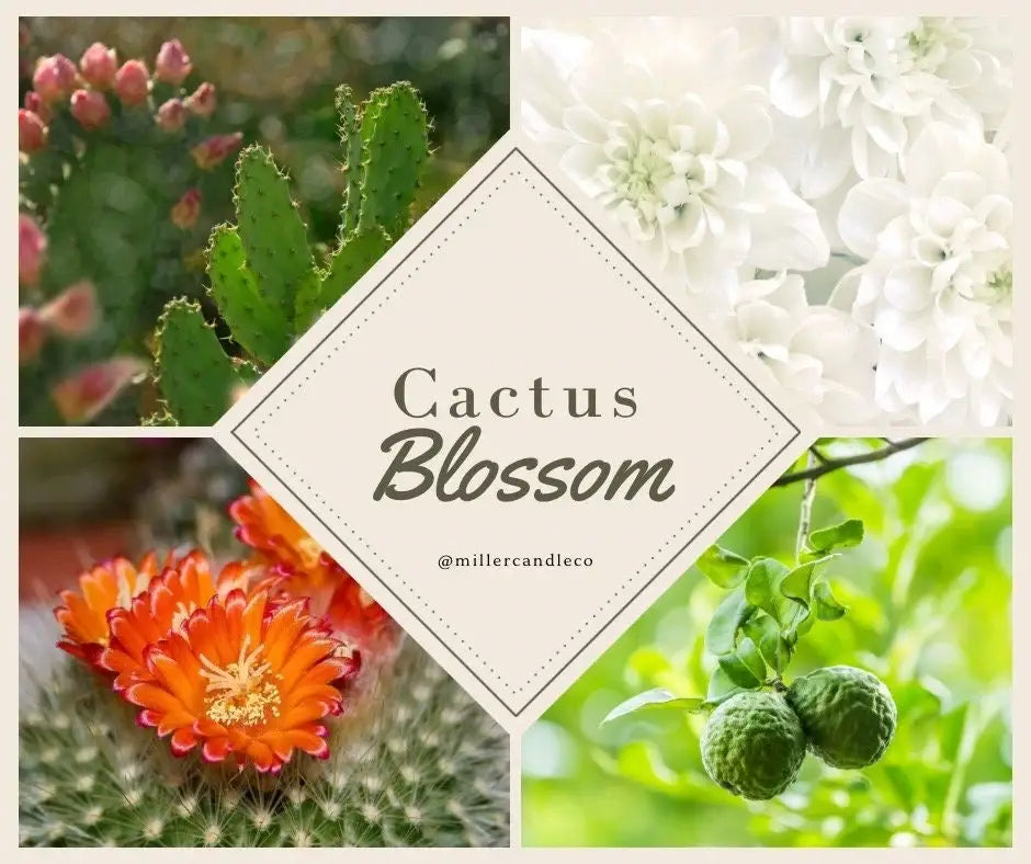 Cactus Blossom Car Diffuser 