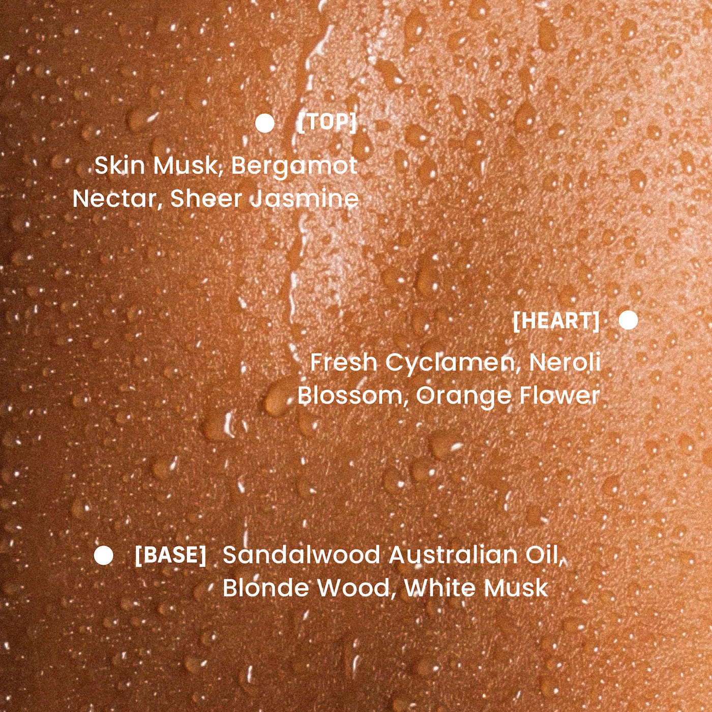 Vanilla Skin