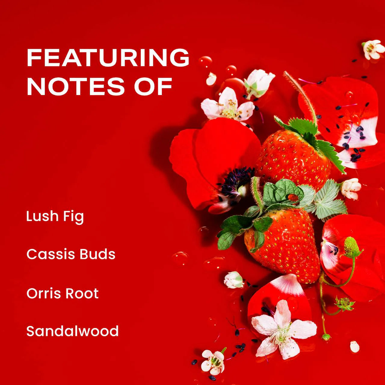 Strawberry Letter